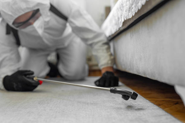 Professional Termite Control technician working in Sayre, OK
