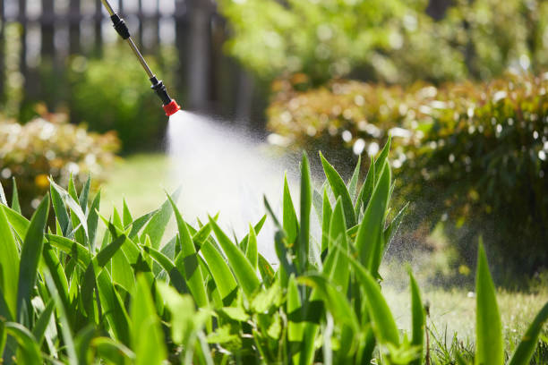 24/7 Emergency Termite Control experts in Sayre, OK